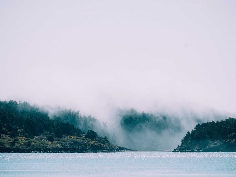 sudoku swordfish screenshot 3